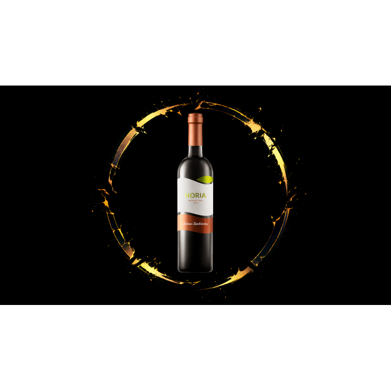Château Topoľčianky -  Noria 2023