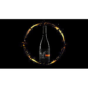 Dunaj 2023 Frtus Winery