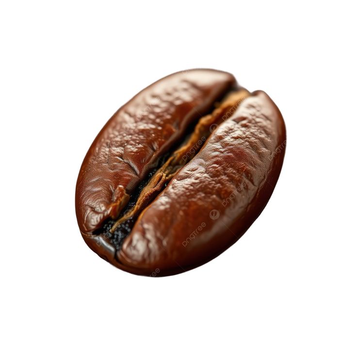 Kávové bôby