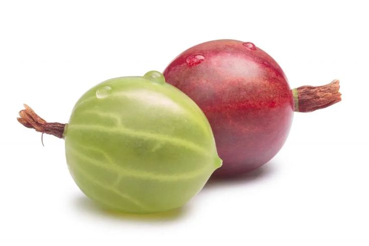 Egreš